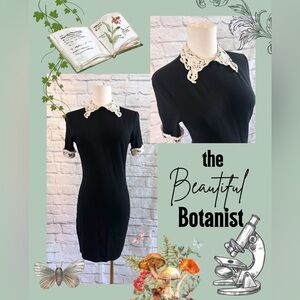 Mind Code Black Mini Dress with Cream Lace Collar